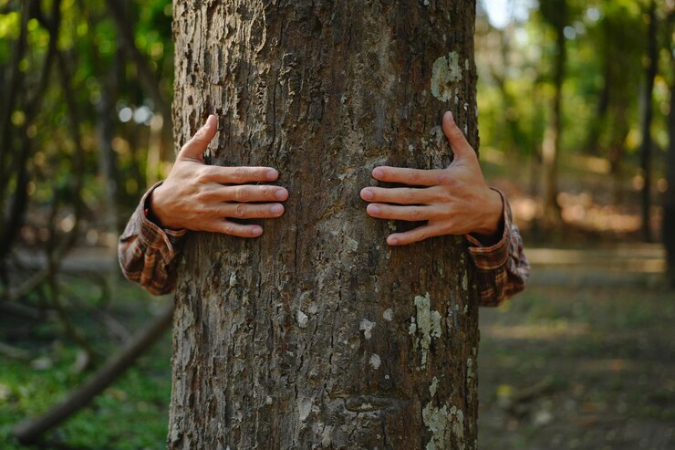 Tenha seus momentos de auto cuidado e&nbsp;equilíbrio